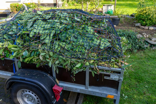 Best Hoarding Cleanup  in Huntington, WV